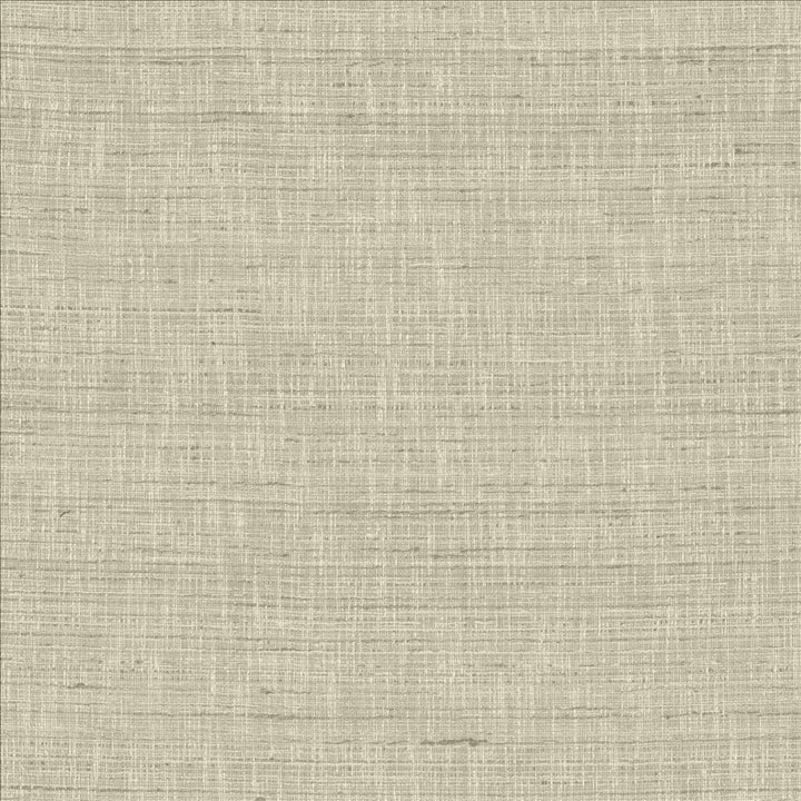 With A View Sterling by Kasmir Fabric 5170 63% Polyester
37% Cotton
 INDIA 50,000 Wyzenbeek Double Rubs </p><p>Repeat: Horizontal: N/A and Vertical: N/A 54 - Fabric Carolina -