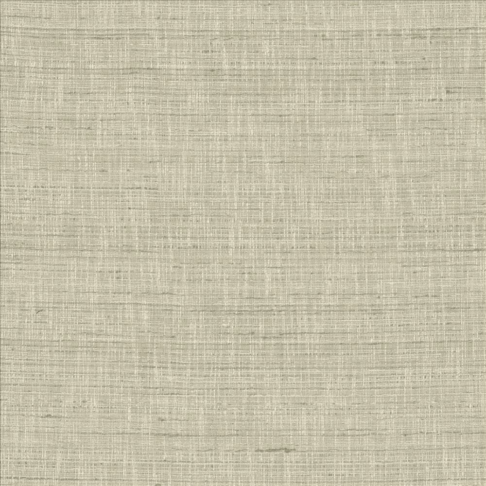 With A View Sterling by Kasmir Fabric 5170 63% Polyester
37% Cotton
 INDIA </p><p>Repeat: Horizontal: N/A and Vertical: N/A 54 - Fabric Carolina -