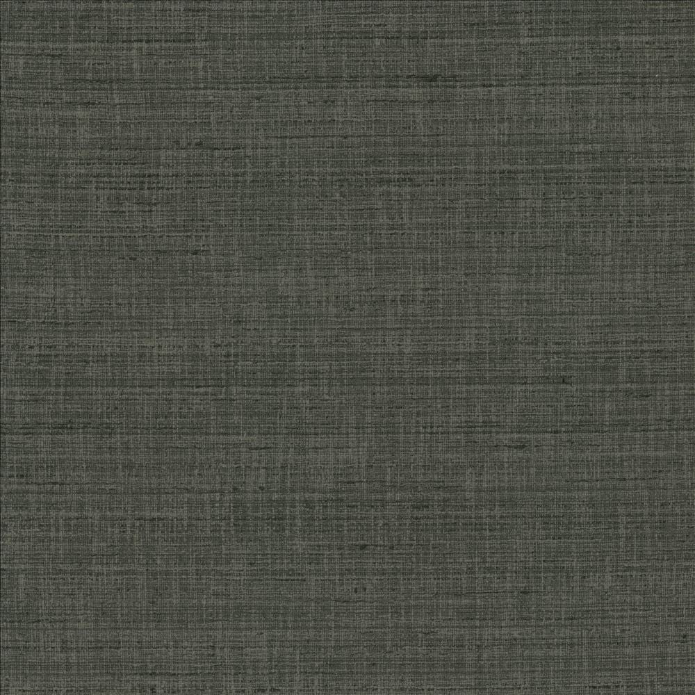 With A View Stone by Kasmir Fabric 5170 63% Polyester
37% Cotton
 INDIA 50,000 Wyzenbeek Double Rubs </p><p>Repeat: Horizontal: N/A and Vertical: N/A 54 - Fabric Carolina -
