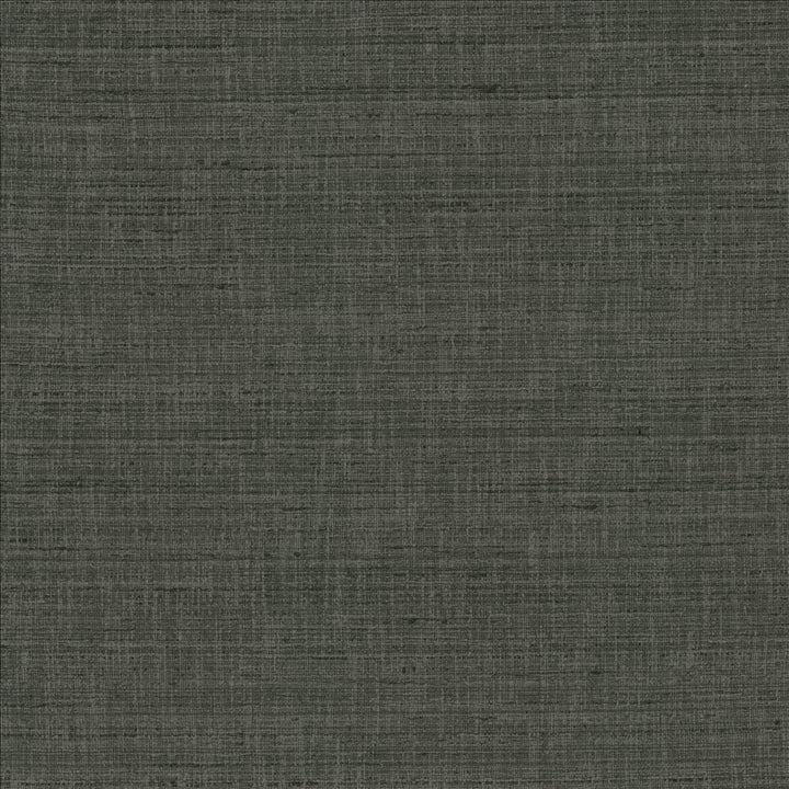 With A View Stone by Kasmir Fabric 5170 63% Polyester
37% Cotton
 INDIA 50,000 Wyzenbeek Double Rubs </p><p>Repeat: Horizontal: N/A and Vertical: N/A 54 - Fabric Carolina -