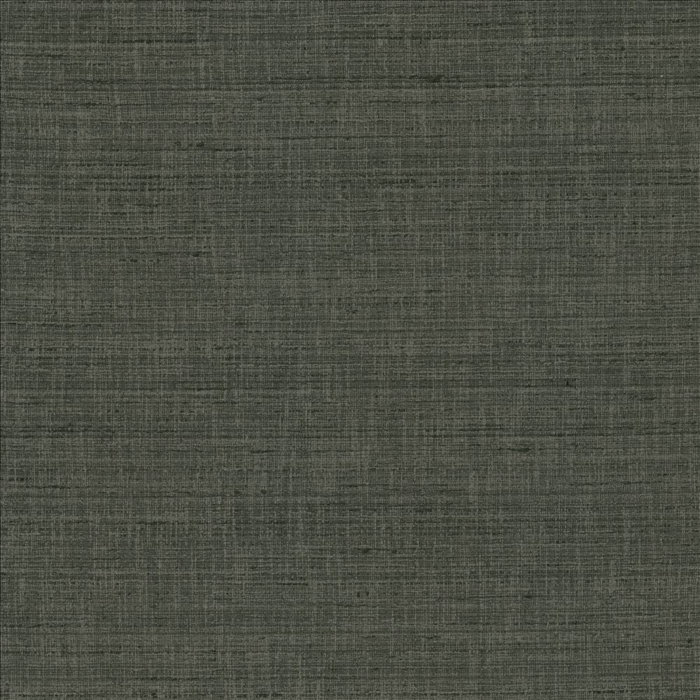 With A View Stone  by Kasmir Fabric See sample 63% Polyester
37% Cotton
 INDIA 50,000 Wyzenbeek Double Rubs </p><p>Repeat: Horizontal: N/A and Vertical: N/A 54  - Fabric Carolina -