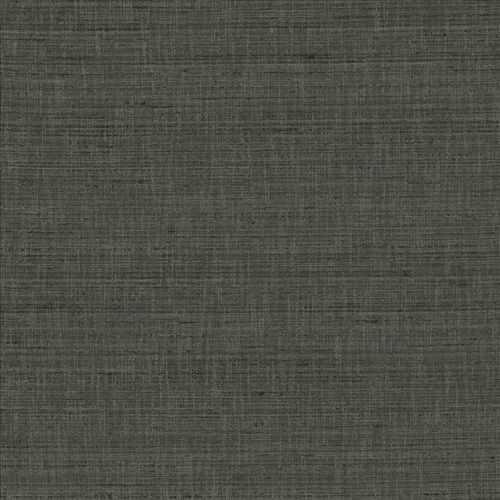 With A View Stone  by Kasmir Fabric See sample 63% Polyester
37% Cotton
 INDIA 50,000 Wyzenbeek Double Rubs </p><p>Repeat: Horizontal: N/A and Vertical: N/A 54  - Fabric Carolina -