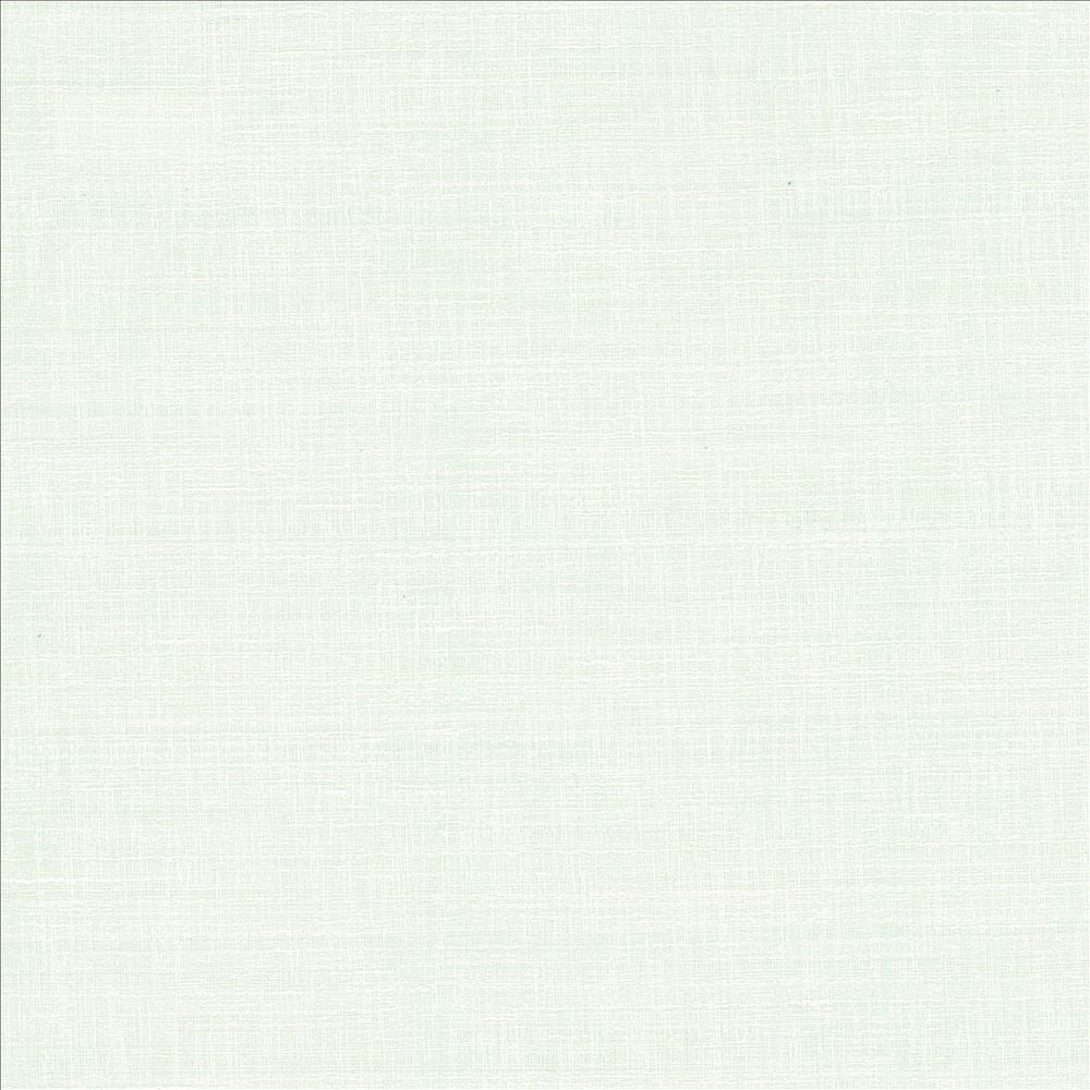 With A View White by Kasmir Fabric 5170 63% Polyester
37% Cotton
 INDIA 50,000 Wyzenbeek Double Rubs </p><p>Repeat: Horizontal: N/A and Vertical: N/A 54 - Fabric Carolina -