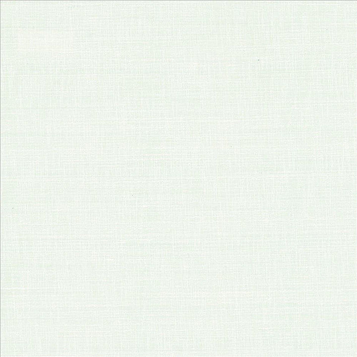 With A View White by Kasmir Fabric 5170 63% Polyester
37% Cotton
 INDIA 50,000 Wyzenbeek Double Rubs </p><p>Repeat: Horizontal: N/A and Vertical: N/A 54 - Fabric Carolina -