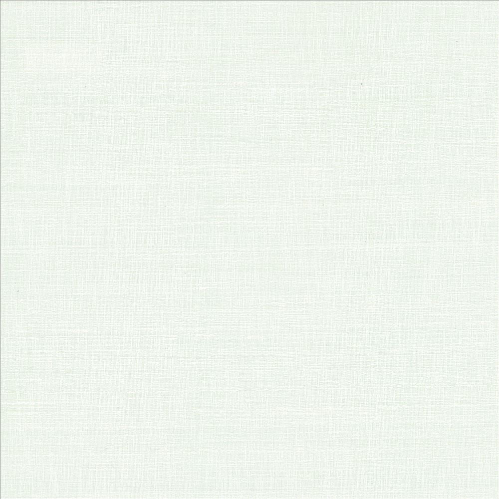 With A View White by Kasmir Fabric 5170 63% Polyester
37% Cotton
 INDIA </p><p>Repeat: Horizontal: N/A and Vertical: N/A 54 - Fabric Carolina -