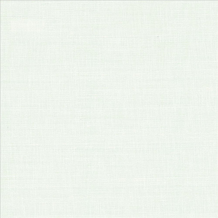 With A View White  by Kasmir Fabric See sample 63% Polyester
37% Cotton
 INDIA 50,000 Wyzenbeek Double Rubs </p><p>Repeat: Horizontal: N/A and Vertical: N/A 54  - Fabric Carolina -