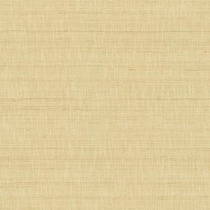 With A View Beige by Kasmir Fabric 5170 63% Polyester
37% Cotton
 INDIA </p><p>Repeat: Horizontal: N/A and Vertical: N/A 54 - Fabric Carolina -