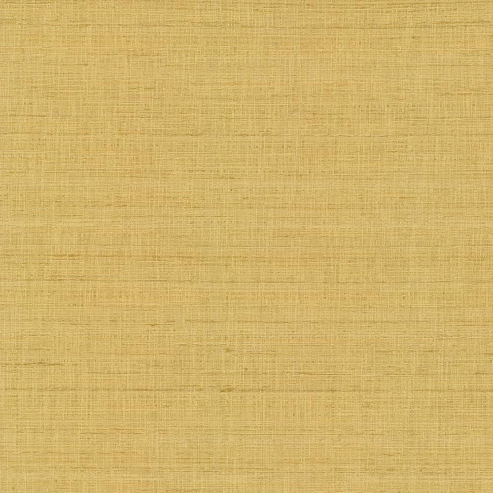 With A View Camel by Kasmir Fabric 5170 63% Polyester
37% Cotton
 INDIA </p><p>Repeat: Horizontal: N/A and Vertical: N/A 54 - Fabric Carolina -