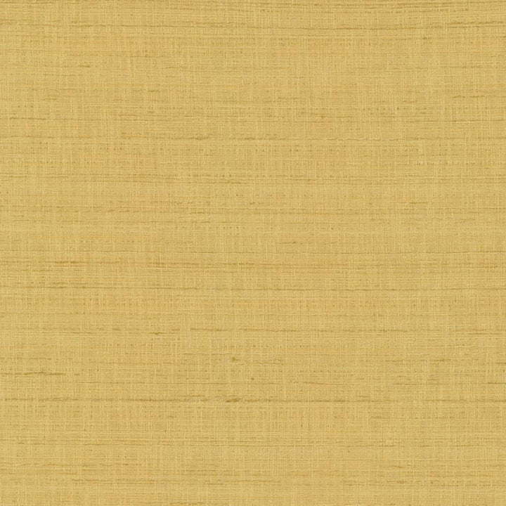 With A View Camel by Kasmir Fabric 5170 63% Polyester
37% Cotton
 INDIA </p><p>Repeat: Horizontal: N/A and Vertical: N/A 54 - Fabric Carolina -