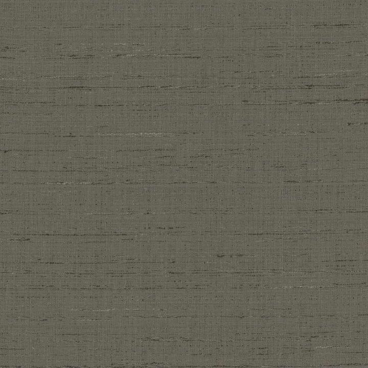 With A View Charcoal by Kasmir Fabric 5170 63% Polyester
37% Cotton
 INDIA </p><p>Repeat: Horizontal: N/A and Vertical: N/A 54 - Fabric Carolina -