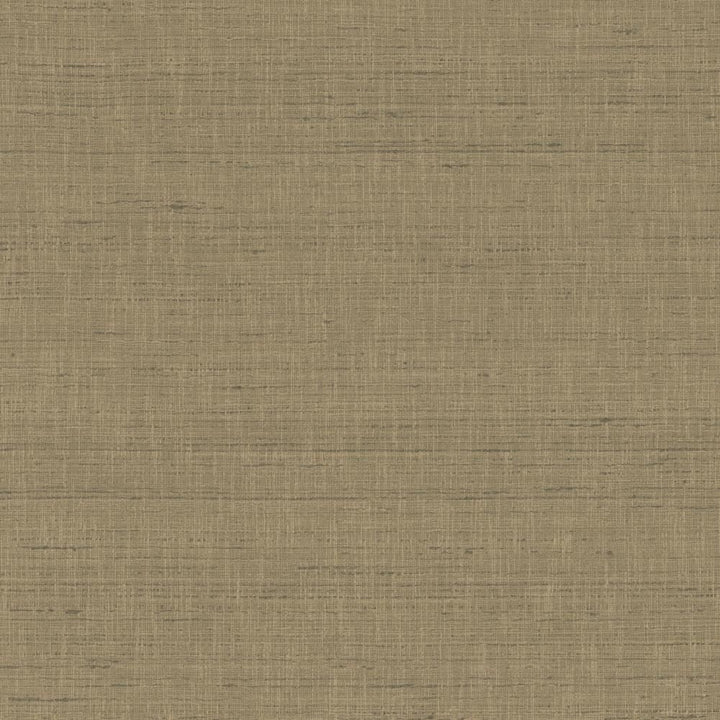 With A View Concrete by Kasmir Fabric 5170 63% Polyester
37% Cotton
 INDIA </p><p>Repeat: Horizontal: N/A and Vertical: N/A 54 - Fabric Carolina -