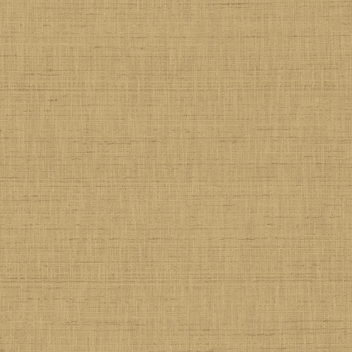 With A View Latte by Kasmir Fabric 5170 63% Polyester
37% Cotton
 INDIA </p><p>Repeat: Horizontal: N/A and Vertical: N/A 54 - Fabric Carolina -