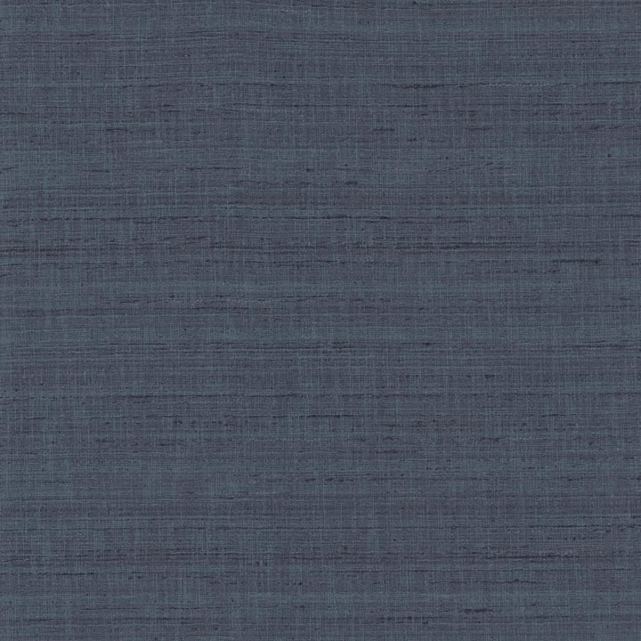 With A View Navy by Kasmir Fabric 5170 63% Polyester
37% Cotton
 INDIA </p><p>Repeat: Horizontal: N/A and Vertical: N/A 54 - Fabric Carolina -