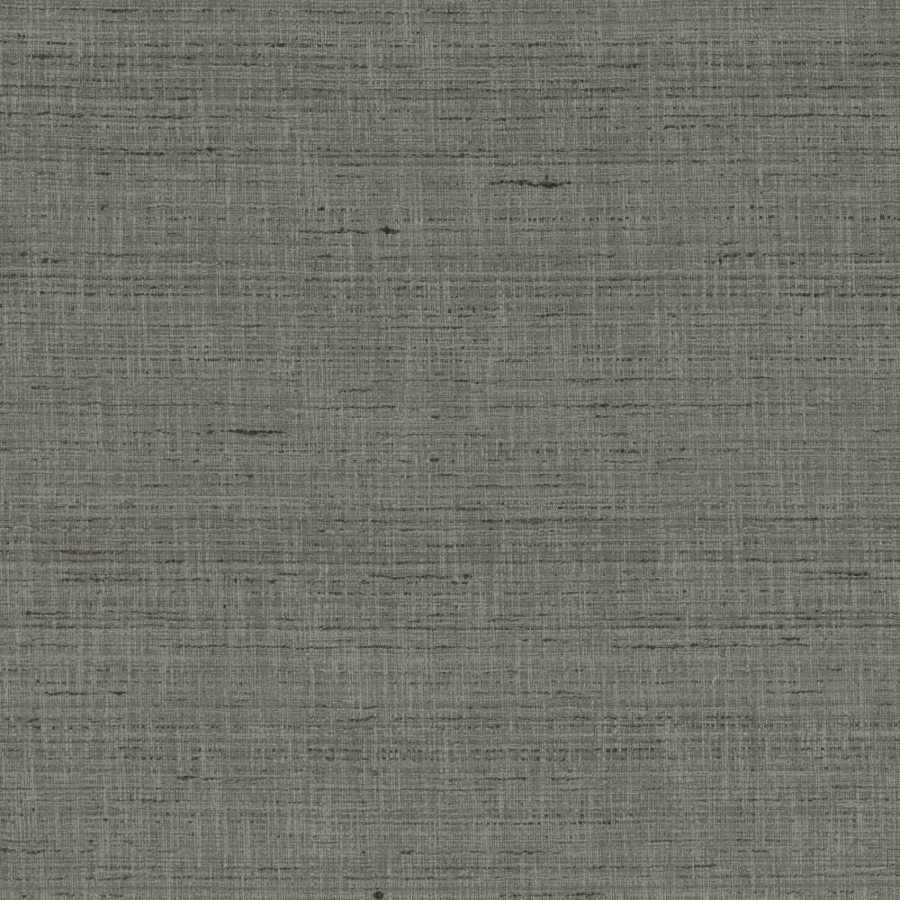 With A View Pewter by Kasmir Fabric 5170 63% Polyester
37% Cotton
 INDIA </p><p>Repeat: Horizontal: N/A and Vertical: N/A 54 - Fabric Carolina -