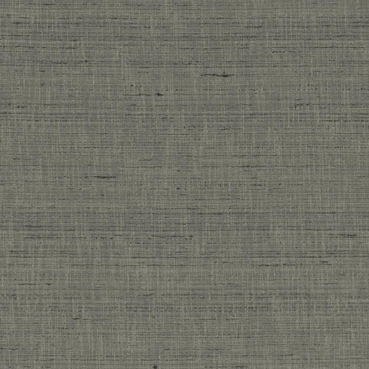 With A View Pewter by Kasmir Fabric 5170 63% Polyester
37% Cotton
 INDIA </p><p>Repeat: Horizontal: N/A and Vertical: N/A 54 - Fabric Carolina -