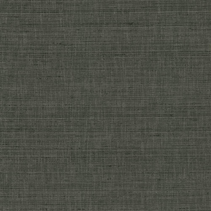 With A View Stone by Kasmir Fabric 5170 63% Polyester
37% Cotton
 INDIA </p><p>Repeat: Horizontal: N/A and Vertical: N/A 54 - Fabric Carolina -