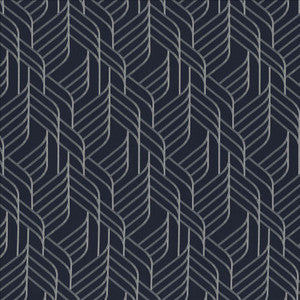 Within Reach Marine by Kasmir Fabric
