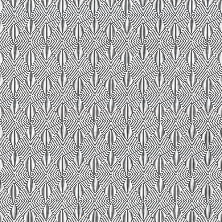 Woodhaven Charcoal by Kasmir Fabric 5085 72% Cotton
28% Polyester
 CHINA </p><p>Repeat: Horizontal: 4 4/8 inches and Vertical: 7 6/8 inches 54 - 56 - Fabric Carolina -