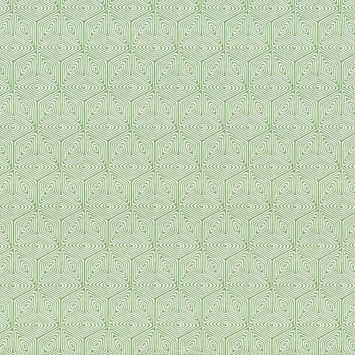 Woodhaven Vine by Kasmir Fabric 5090 72% Cotton
28% Polyester
 CHINA </p><p>Repeat: Horizontal: 4 4/8 inches and Vertical: 7 6/8 inches 54 - 56 - Fabric Carolina -