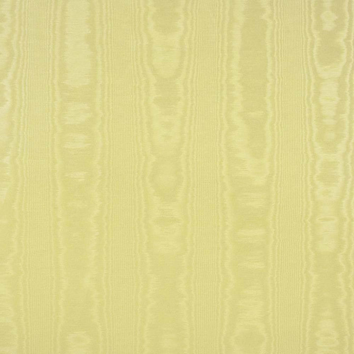 Woodmark Butterscotch by Kasmir Fabric 5102 TAIWAN H: N/A, V:N/A 54 - 58 - Fabric Carolina - Kasmir