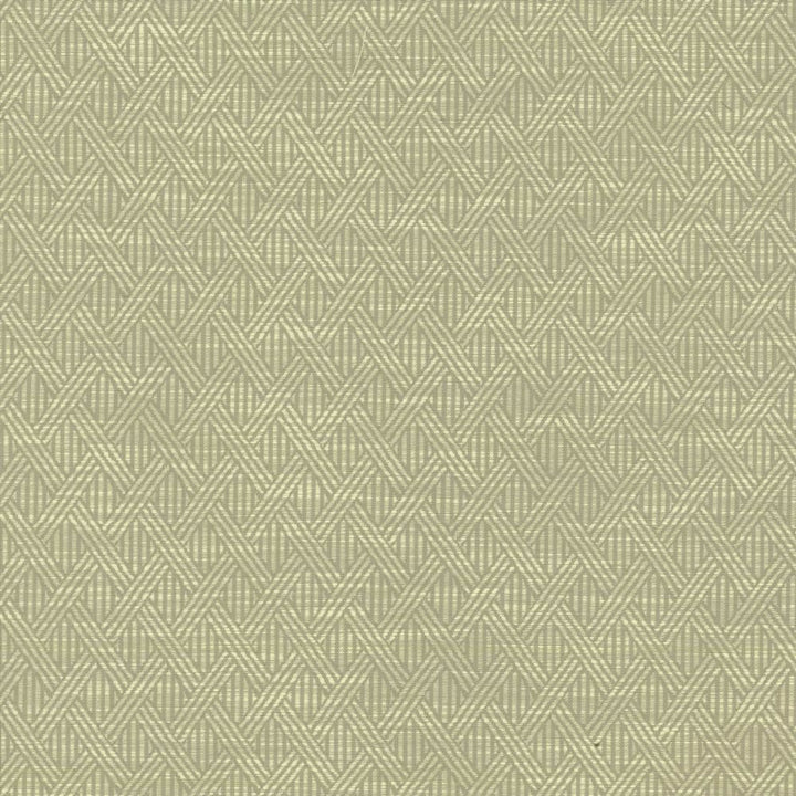 Woven Dove by Kasmir Fabric 5142 59% Polyester
41% Rayon
 CHINA </p><p>Repeat: Horizontal: 1 4/8 inches and Vertical: 2 2/8 inches 58 - Fabric Carolina -