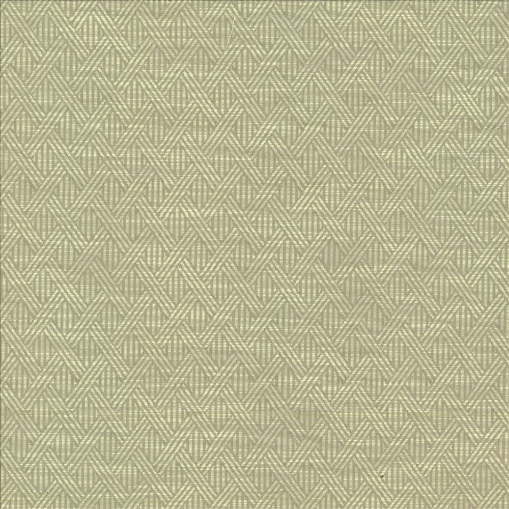 Woven Dove  by Kasmir Fabric See sample 59% Polyester
41% Rayon
 CHINA 50,000 Wyzenbeek Double Rubs </p><p>Repeat: Horizontal: 1 4/8 inches and Vertical: 2 2/8 inches 58  - Fabric Carolina -