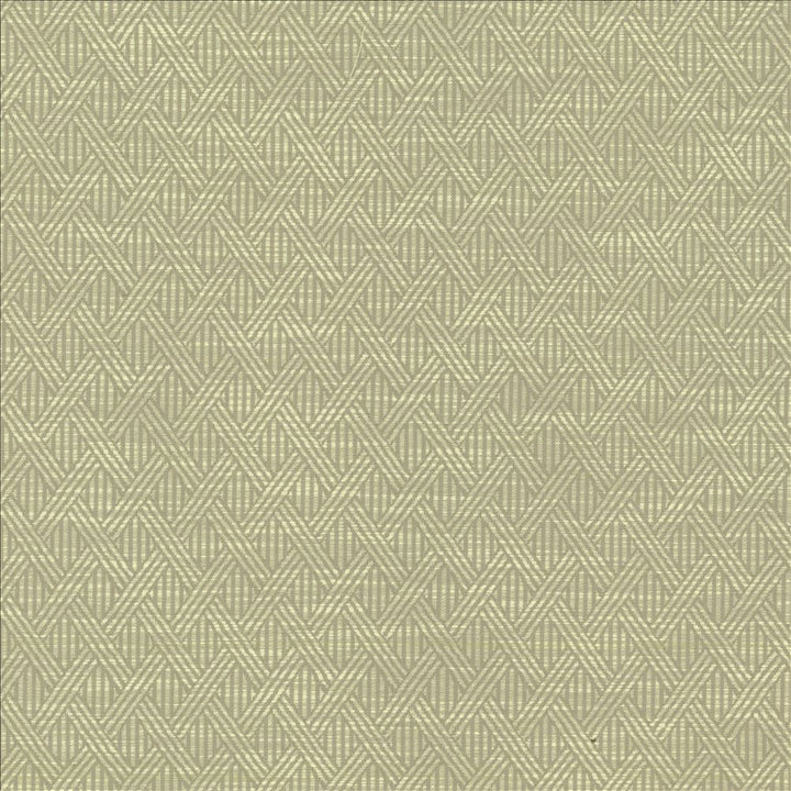 Woven Dove by Kasmir Fabric 5142 59% Polyester
41% Rayon
 CHINA 50,000 Wyzenbeek Double Rubs </p><p>Repeat: Horizontal: 1 4/8 inches and Vertical: 2 2/8 inches 58 - Fabric Carolina -