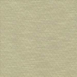 Woven Dove by Kasmir Fabric