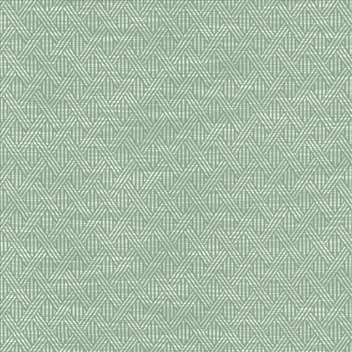 Woven Serenity  by Kasmir Fabric See sample 59% Polyester
41% Rayon
 CHINA 50,000 Wyzenbeek Double Rubs </p><p>Repeat: Horizontal: 1 4/8 inches and Vertical: 2 2/8 inches 58  - Fabric Carolina -