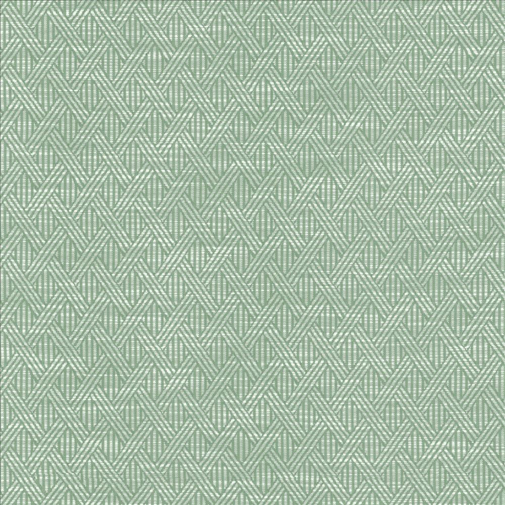 Woven Serenity by Kasmir Fabric 5145 59% Polyester 41% Rayon CHINA 50,000 Wyzenbeek Double Rubs Horizontal: 1 4/8 inches and Vertical: 2 2/8 inches 58 - Fabric Carolina -