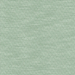 Woven Serenity by Kasmir Fabric