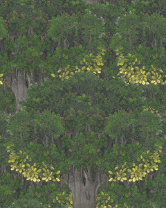 SAVAGE LEAVES Wallpaper (WP20466) by Mind The Gap