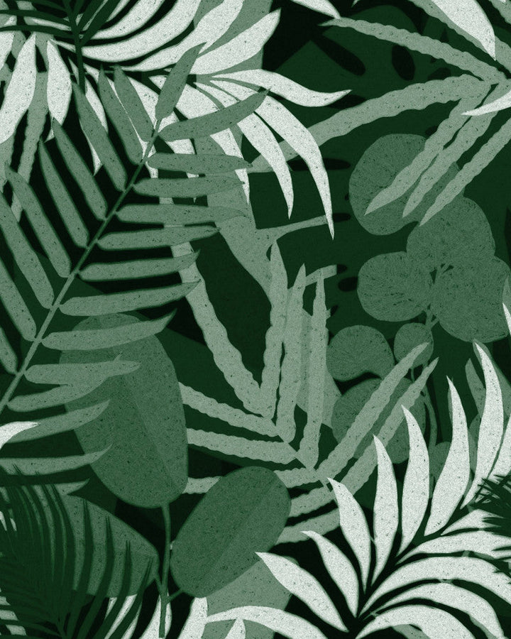 Jardin Del Sol Green Wallpaper by Mind the Gap Designer Wallpaper THE WALLPAPER COMPENDIUM 1 Non-woven Made in Europe Paste the wall 3 rolls x 20.5 x 3.25 yards - Swanky Fabrics -