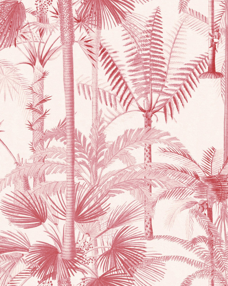 Palmera Cubana Pink Wallpaper by Mind the Gap Designer Wallpaper THE WALLPAPER COMPENDIUM 1 Textured Matte Made in Europe Paste the wall 3 rolls x 20.5 x 3.25 yards - Swanky Fabrics -