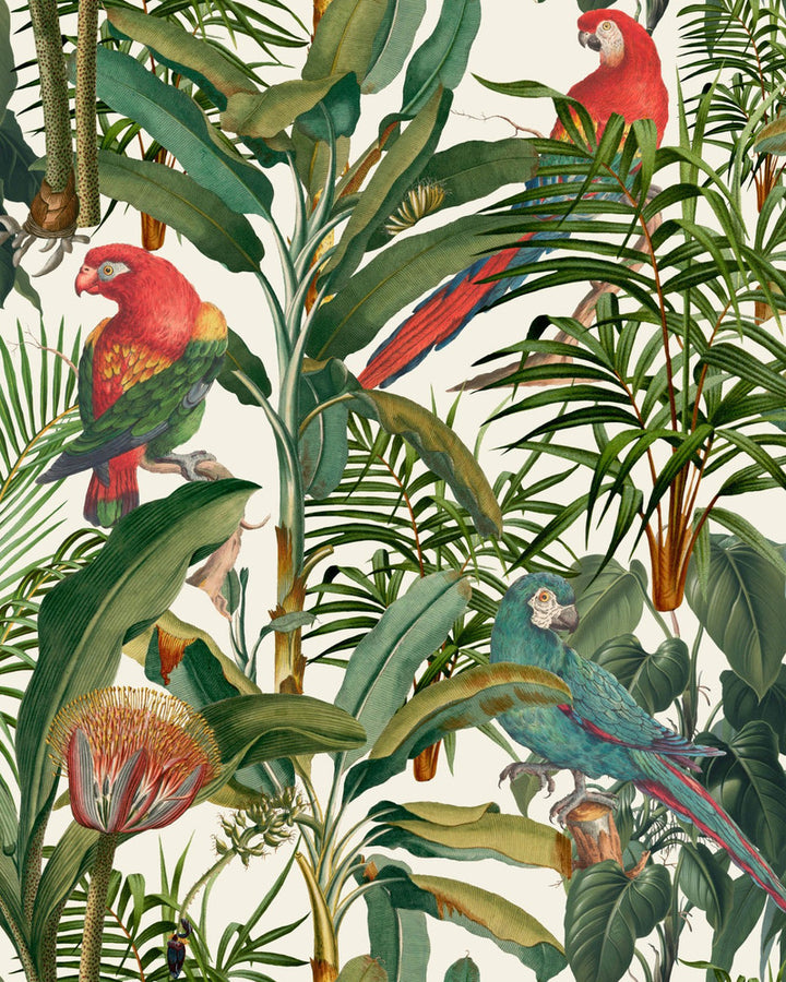 PARROTS OF BRASIL Wallpaper (WP20521) by Mind The Gap | WP20521 | THE WALLPAPER COMPENDIUM 1 | 3 rolls x 20.5 x 118.1 in | 0.52m / 20.5in | 3m / 118in | 4.65mp | 100cm / 39.3in | Green, Ivory, Red, Taupe | Textured Matte | Paste the wall | 3-rolls in a box | Fabric Carolina | https://www.fabriccarolina.com/