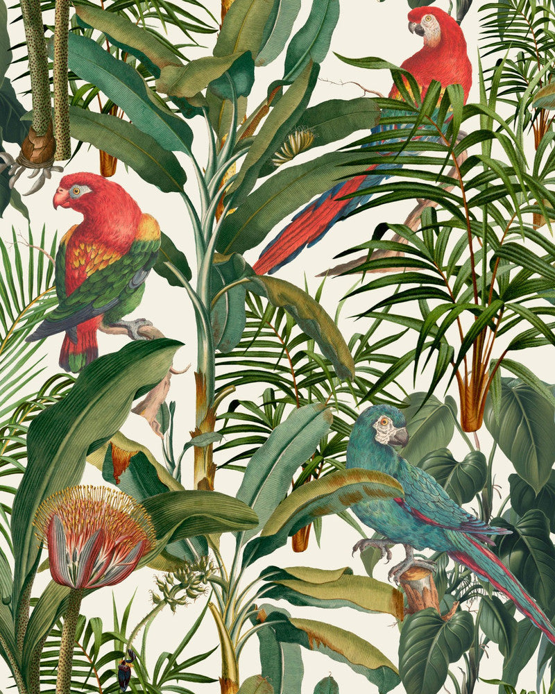 Parrots Of Brasil Wallpaper by Mind the Gap Designer Wallpaper THE WALLPAPER COMPENDIUM 1 Textured Matte Made in Europe Paste the wall 3 rolls x 20.5 x 3.25 yards - Swanky Fabrics -