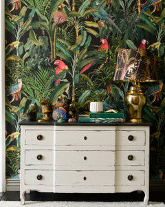 PARROTS OF BRASIL Anthracite Wallpaper (WP20522) by Mind The Gap