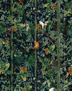 WILDLIFE OF PAPUA Dark Wallpaper (WP20527) by Mind The Gap