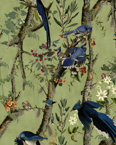 BIRDS OF DANUBE Wallpaper (WP20715) by Mind The Gap
