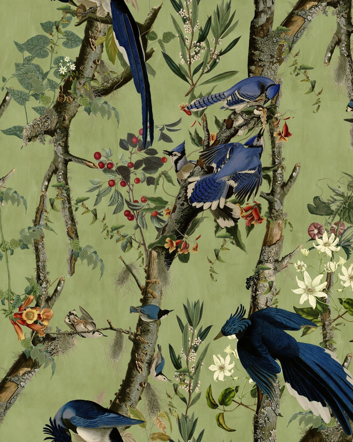BIRDS OF DANUBE Wallpaper (WP20715) by Mind The Gap | WP20715 | THE WETLANDS | 3 rolls x 20.5 x 118.1 in | 0.52m / 20.5in | 3m / 118in | 4.68mp | 156cm / 61.4in | Blue, Brown, Green, Ivory, Orange, Red | Non-woven | Paste the wall | 3-rolls in a box | Fabric Carolina | https://www.fabriccarolina.com/