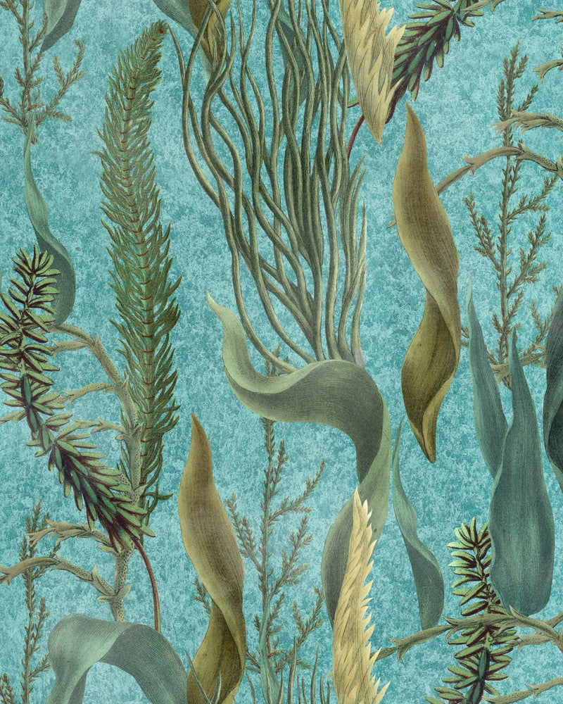 Aquatic Plants Aquamarine Wallpaper by Mind the Gap Designer Wallpaper THE WETLANDS Non-woven Made in Europe Paste the wall 1 roll x 20.47 x 9.8 yards - Swanky Fabrics -