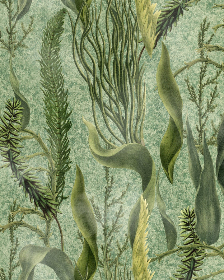 AQUATIC PLANTS Wallpaper (WP20717) by Mind The Gap | WP20717 | THE WETLANDS | 1 roll x 20.47 x 354.33 in | 0.52m / 20.5in | 9m / 354in | 4.68mp | 52cm / 20.5in | Cream, Green | Non-woven | Paste the wall | 1-roll in a box | Fabric Carolina | https://www.fabriccarolina.com/