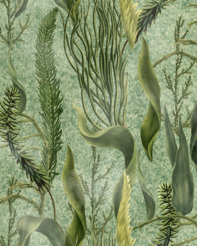 Mind The Gap Wallpaper AQUATIC PLANTS Wallpaper (WP20717) | WP20717 | THE WETLANDS | 1 roll x 20.47 x 354.33 in | 0.52m / 20.5in | 9m / 354in | 4.68mp | 52cm / 20.5in | Cream, Green | Non-woven | Paste the wall | 1-roll in a box | Fabric Carolina | https://www.fabriccarolina.com/