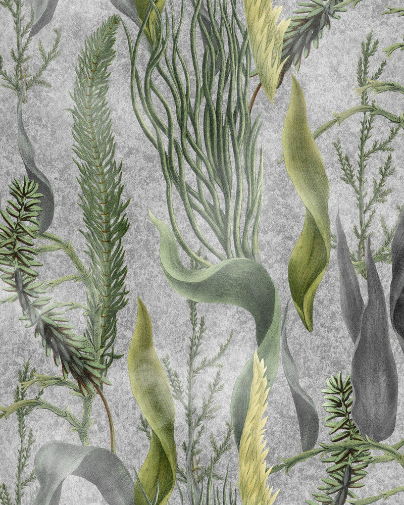 AQUATIC PLANTS Grey Wallpaper (WP20718) by Mind The Gap | WP20718 | THE WETLANDS | 1 roll x 20.47 x 354.33 in | 0.52m / 20.5in | 9m / 354in | 4.68mp | 52cm / 20.5in | Cream, Green, Grey | Non-woven | Paste the wall | 1-roll in a box | Fabric Carolina | https://www.fabriccarolina.com/