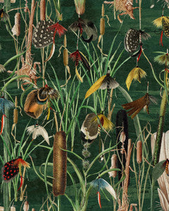 FISHING FLIES Greenlake Wallpaper (WP20722) by Mind The Gap