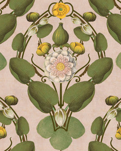 NYMPHAEA Light Pink Wallpaper (WP20726) by Mind The Gap