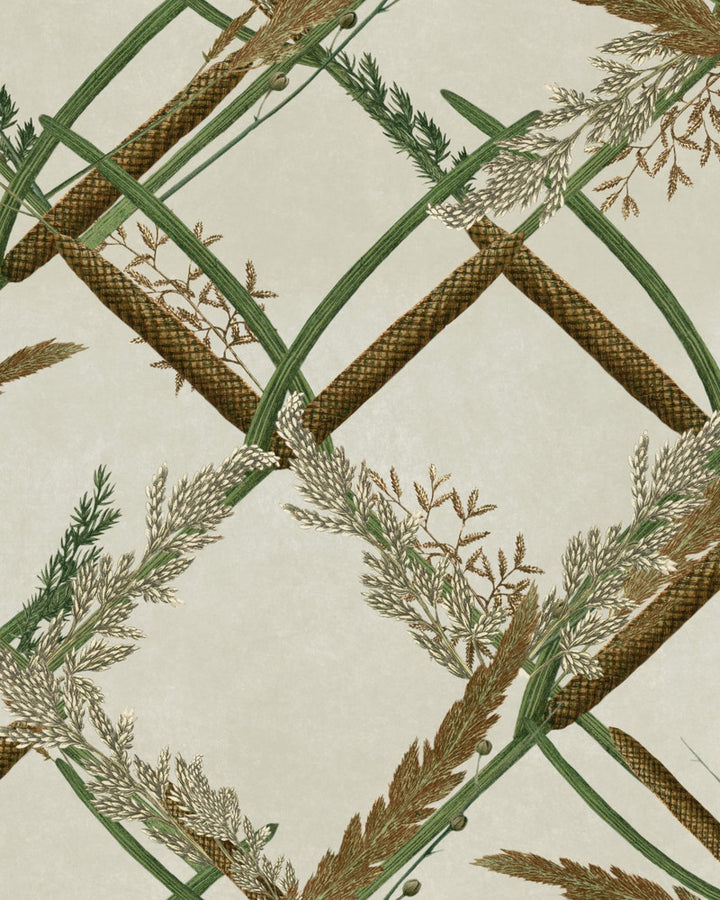 ORNAMENTAL REED Wallpaper (WP30161) by Mind The Gap | WP30161 | THE WETLANDS | 1 roll x 20.5x393.7 in | 0.52m / 20.5in | 10m / 393.7in | 4.68mp | 52cm / 20.5in | Brown, Green, Ivory, Taupe | Non-woven | Paste the wall | 1-roll in a box | Fabric Carolina | https://www.fabriccarolina.com/