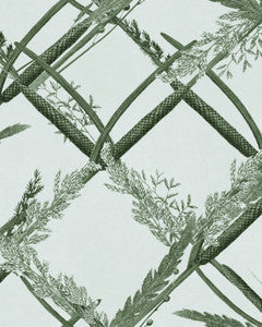 ORNAMENTAL REED Greenlake Wallpaper (WP30162) by Mind The Gap