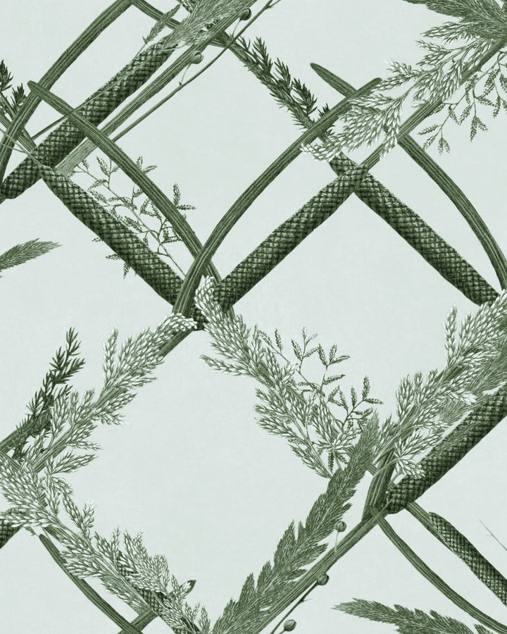 ORNAMENTAL REED Greenlake Wallpaper (WP30162) by Mind The Gap | WP30162 | THE WETLANDS | 1 roll x 20.5x393.7 in | 0.52m / 20.5in | 10m / 393.7in | 4.68mp | 52cm / 20.5in | Green, Taupe | Non-woven | Paste the wall | 1-roll in a box | Fabric Carolina | https://www.fabriccarolina.com/