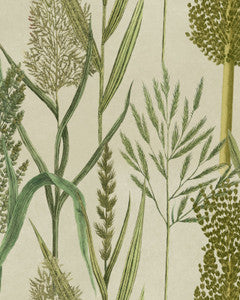 RIVERSIDE FLORA Taupe Wallpaper (WP30164) by Mind The Gap